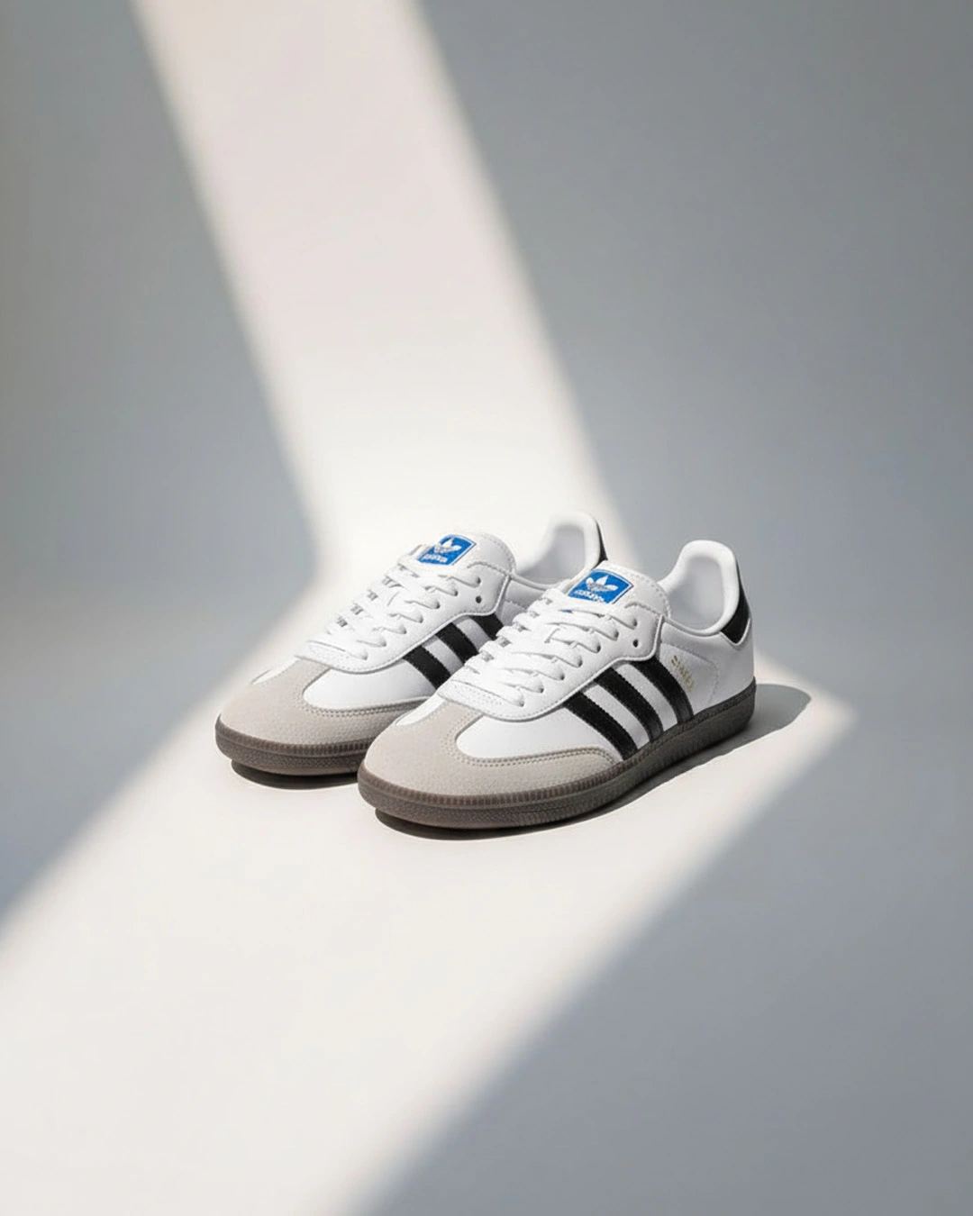 Danzair Samba Classic Shoes White Black